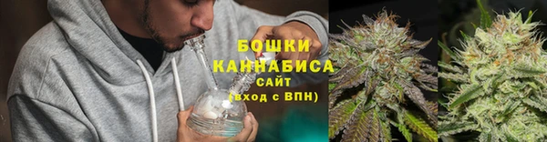 крисы Корсаков