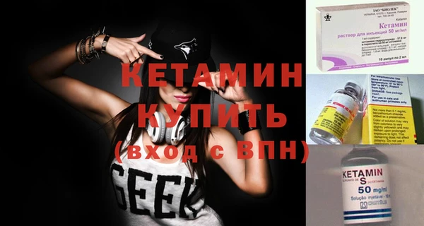 крисы Корсаков