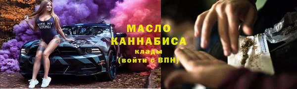 крисы Корсаков