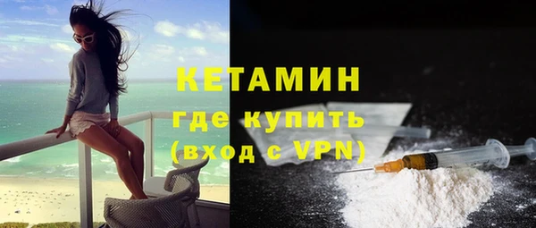 крисы Корсаков
