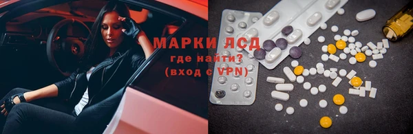 крисы Корсаков