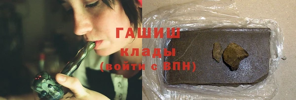 крисы Корсаков