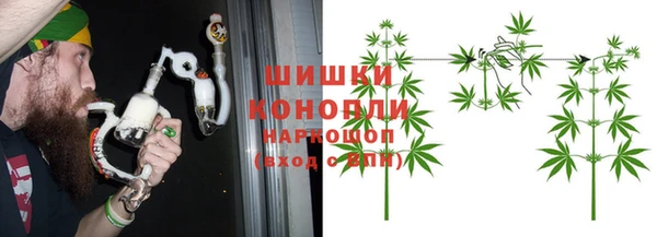 крисы Коряжма