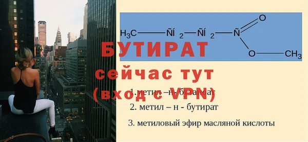 крисы Корсаков