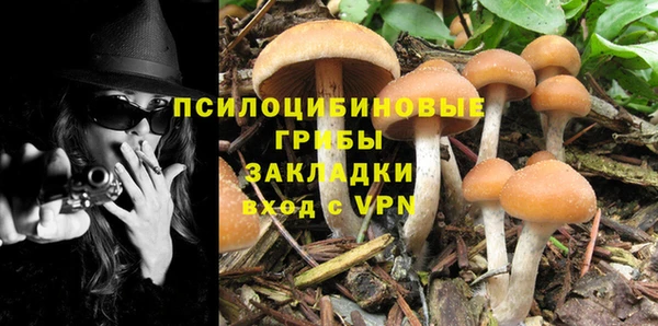крисы Коряжма