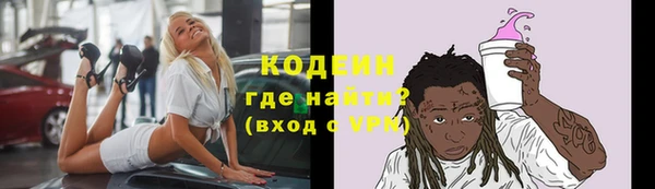 крисы Коряжма