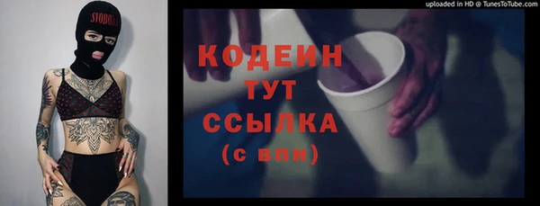 крисы Корсаков