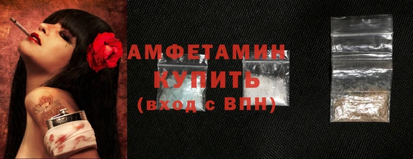 крисы Коряжма
