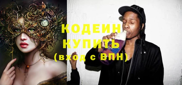 крисы Коряжма
