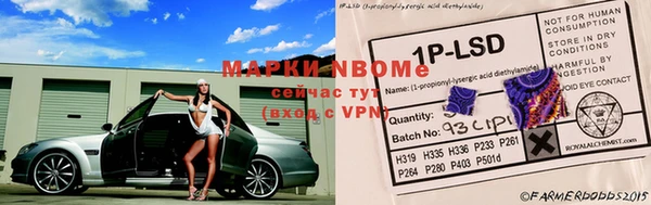 крисы Корсаков