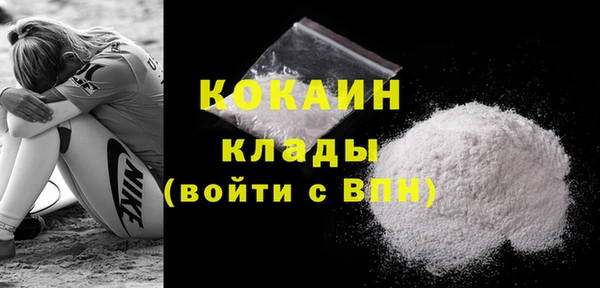 крисы Коряжма