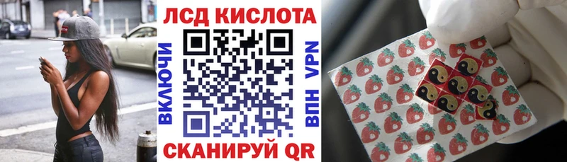 Купить где  Елизово  Наркотические марки 1500мкг 