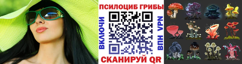 Купить где  Елизово  Галлюциногенные грибы GOLDEN TEACHER 